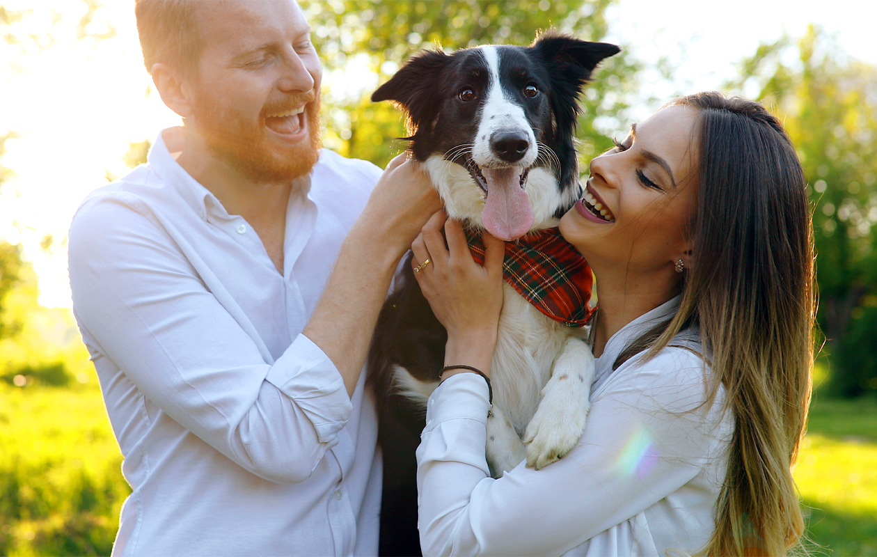 Huisdieren fotoshoot bij een fotostudio naar keuze