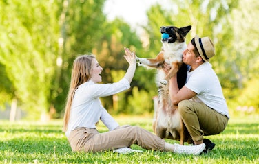 Huisdieren fotoshoot bij een fotostudio naar keuze