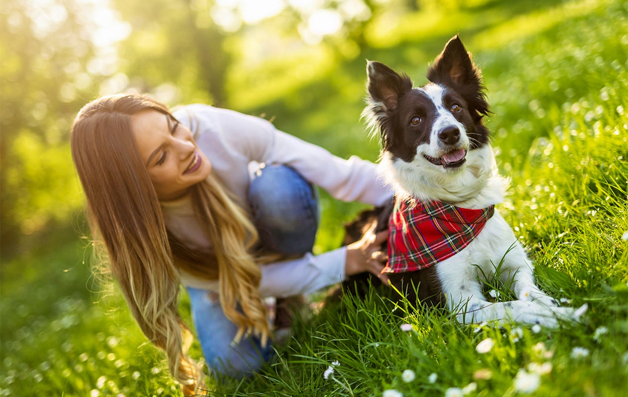 Huisdieren fotoshoot bij een fotostudio naar keuze