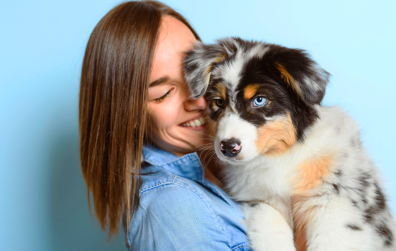Huisdieren fotoshoot bij een fotostudio naar keuze