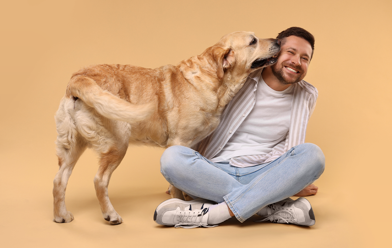 Huisdieren fotoshoot bij een fotostudio naar keuze
