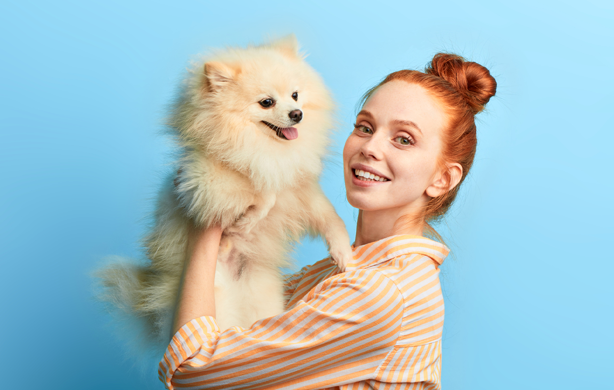 Huisdieren fotoshoot bij een fotostudio naar keuze