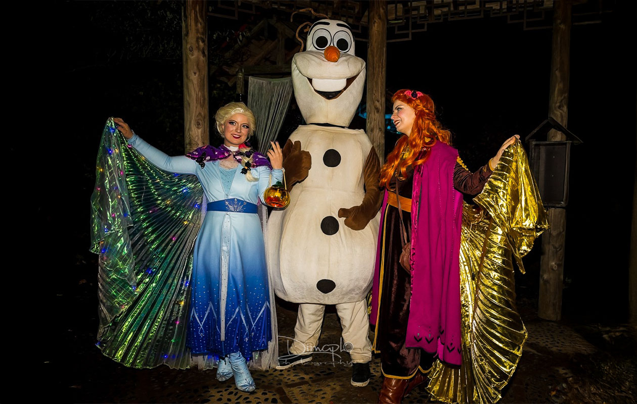 Ticket Halloween The Little Villains in Mondo Verde (2p.)