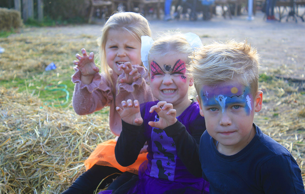 Ticket DippieBoe in Attractiepark DippieDoe (2p.)