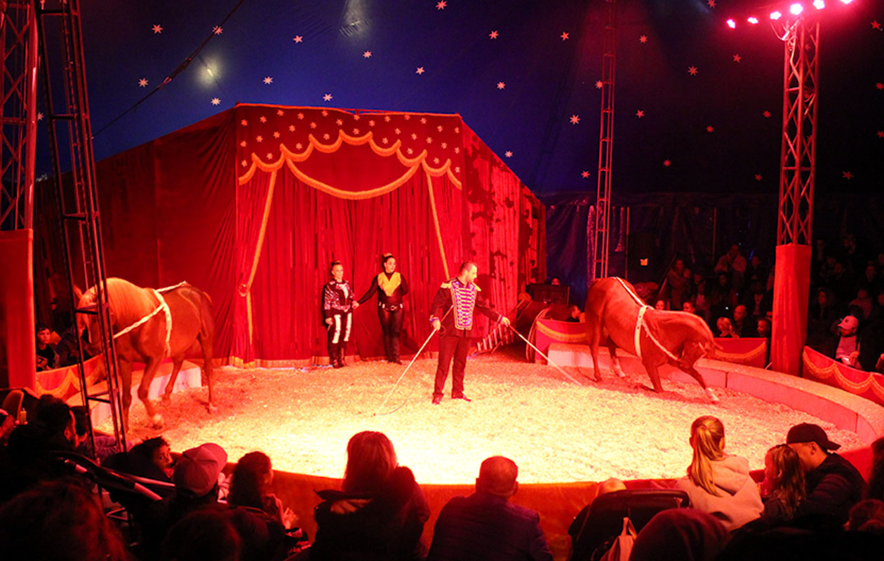 Ticket DippieBoe in Attractiepark DippieDoe (2p.)