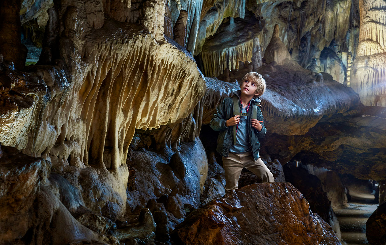 Combiticket voor Grotten van Han en Het Wildpark in België (2p.)