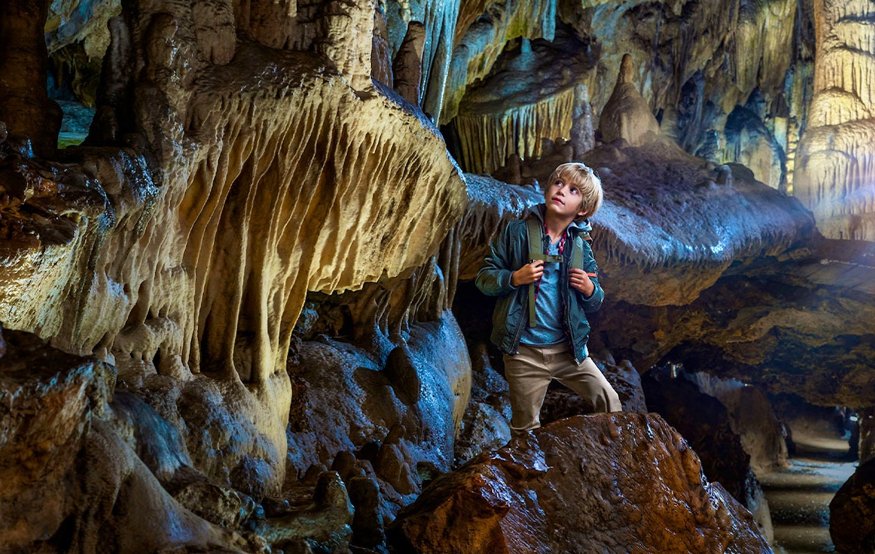 Billet combiné pour les Grottes de Han et le Parc Animalier en Belgique (2p.)