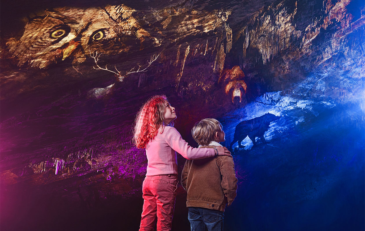Combiticket voor Grotten van Han en Het Wildpark in België (2p.)