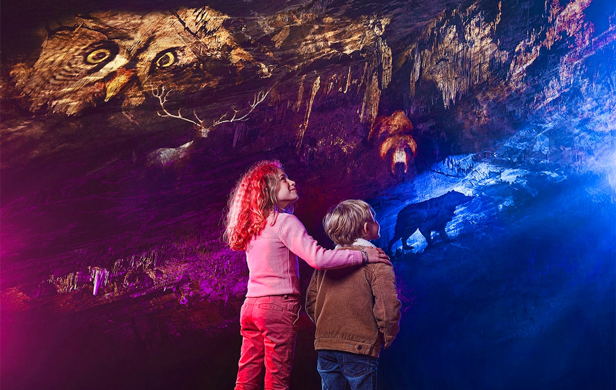 Billet combiné pour les Grottes de Han et le Parc Animalier en Belgique (2p.)