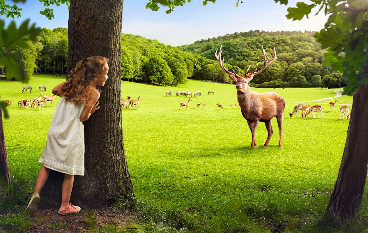 Billet combiné pour les Grottes de Han et le Parc Animalier en Belgique (2p.)