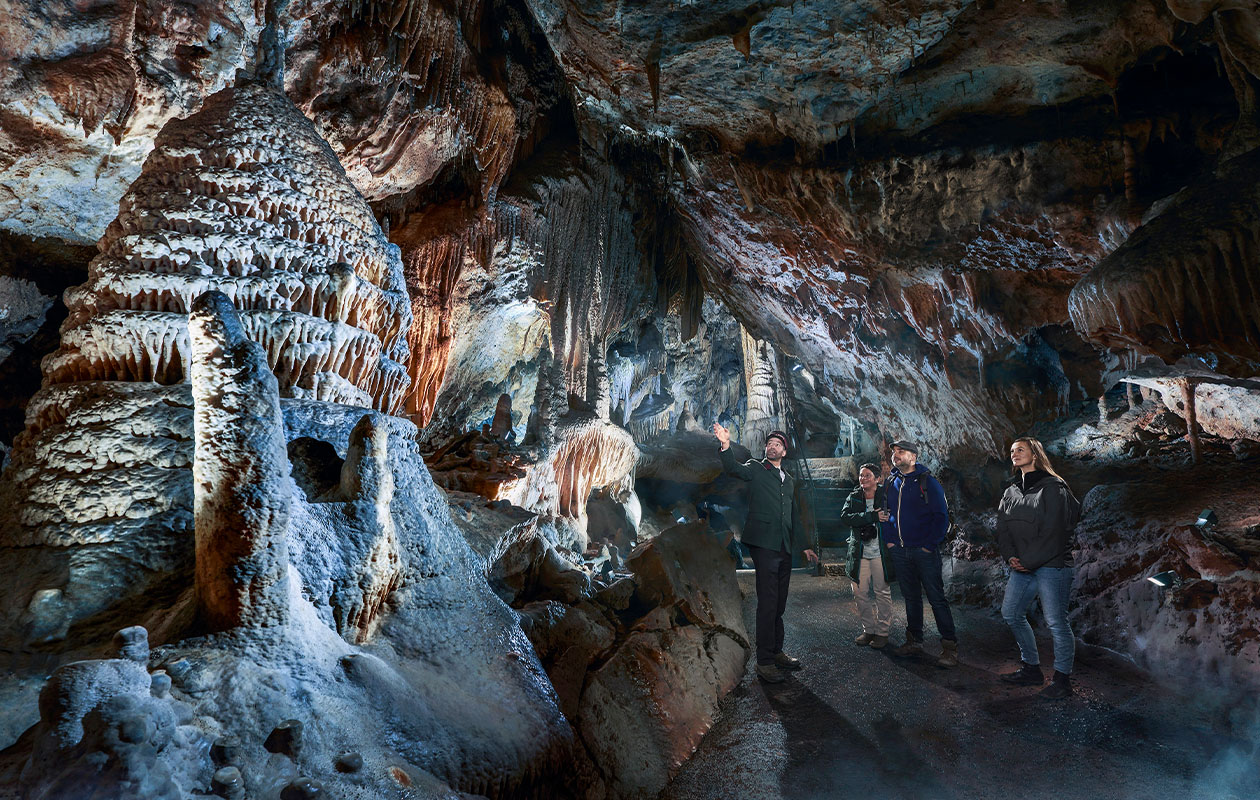 Combiticket voor Grotten van Han en Het Wildpark in België (2p.)