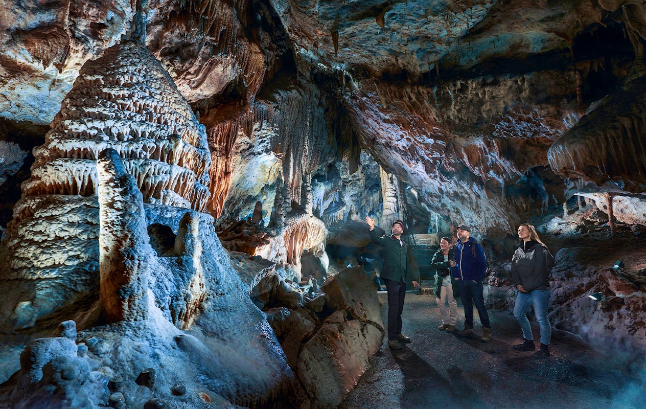 Billet combiné pour les Grottes de Han et le Parc Animalier en Belgique (2p.)