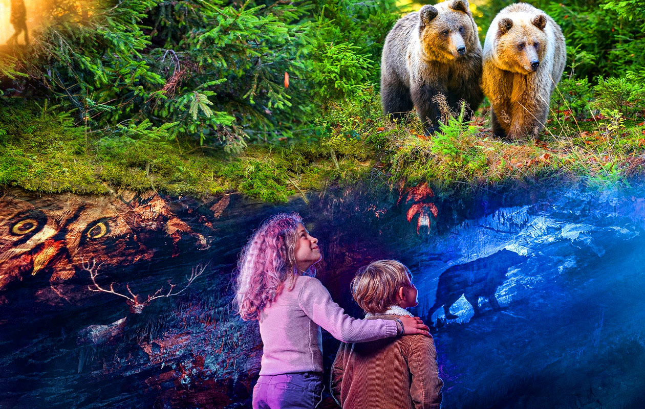 Combiticket voor Grotten van Han en Het Wildpark in België (2p.)