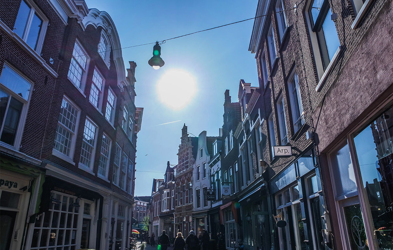 Ontdek Haarlem tijdens een stadstour (2p.)