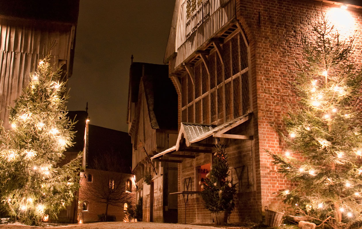 Ticket Museumpark Archeon (2p.)