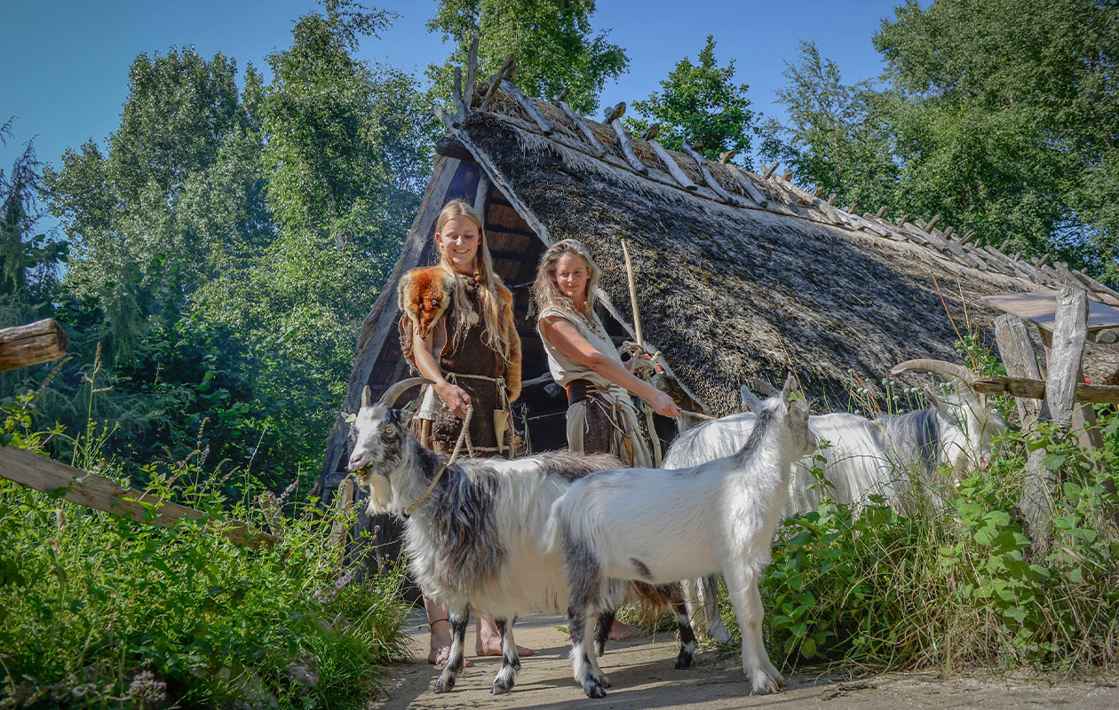 Bied mee op Museumpark Archeon tickets (2 personen)