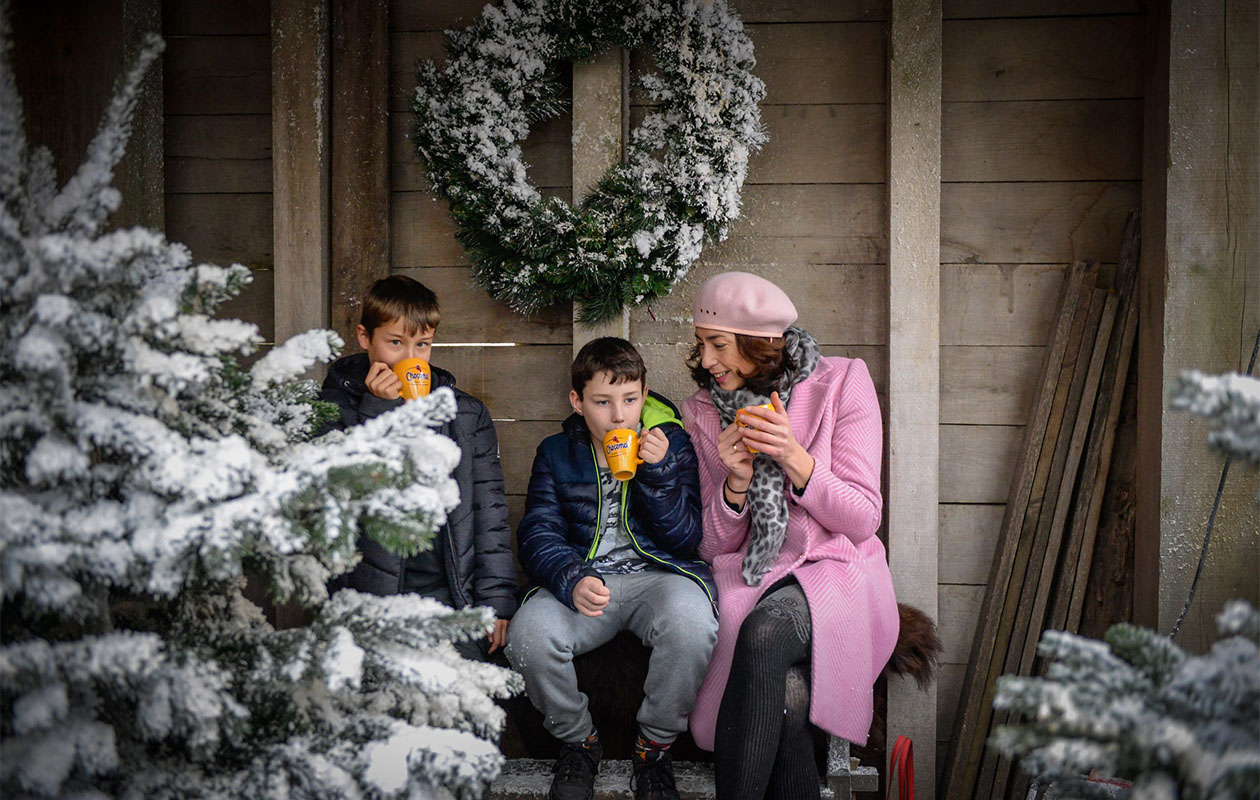 Ticket Museumpark Archeon (2p.)