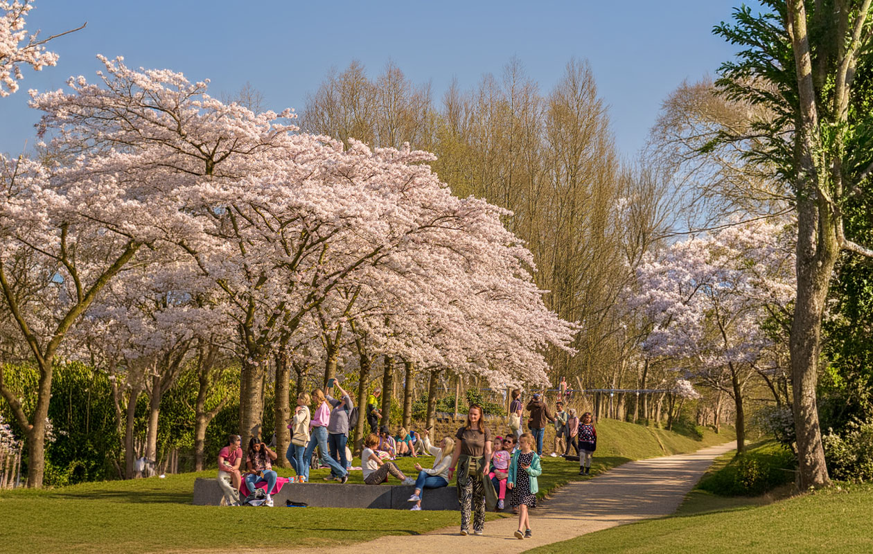 Ticket historische tramervaring door Amsterdam (2p)