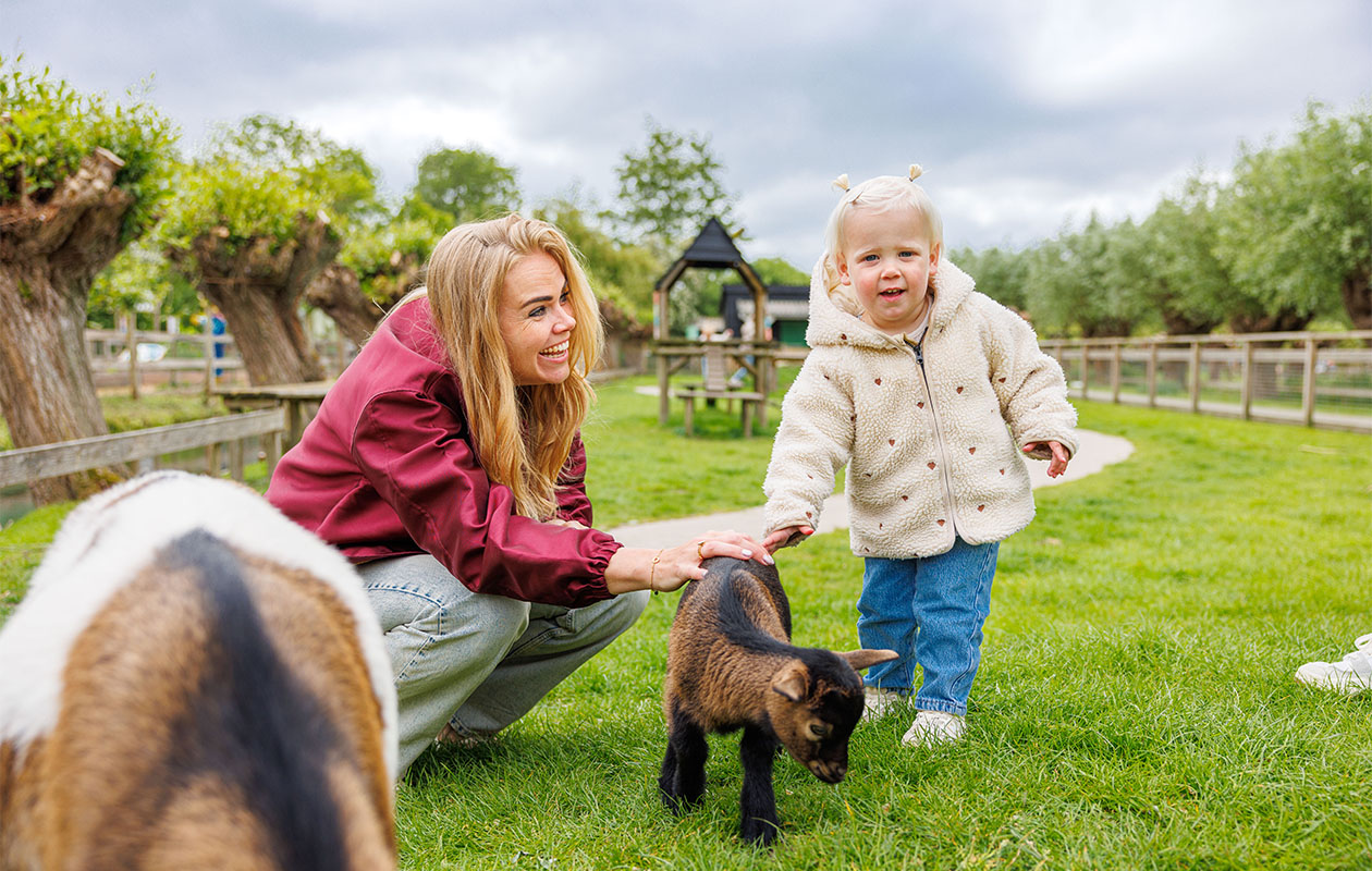 Ticket Avonturenboerderij Molenwaard (2p.)