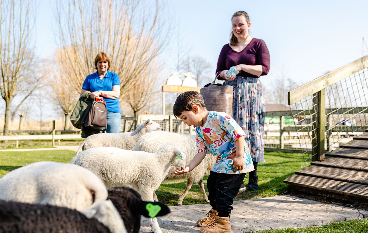 Ticket Avonturenboerderij Molenwaard (2p.)