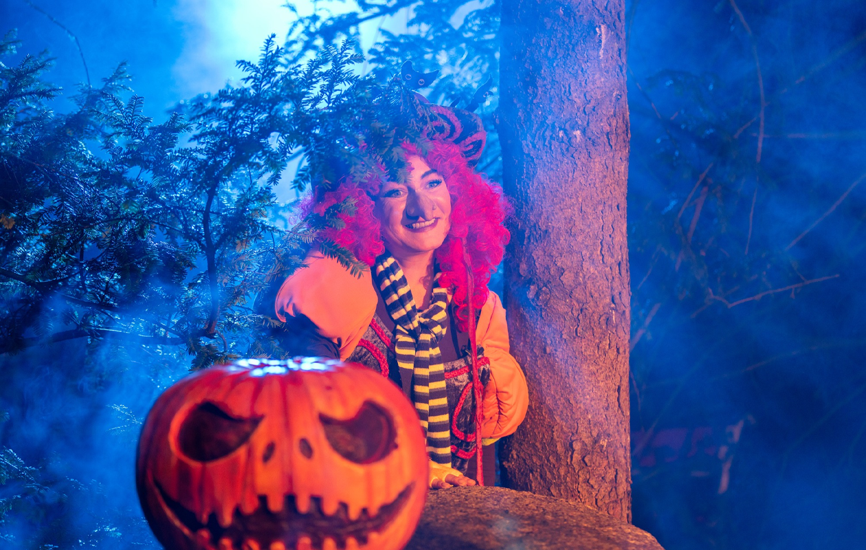 Ticket Avonturenpark Hellendoorn (2p.)