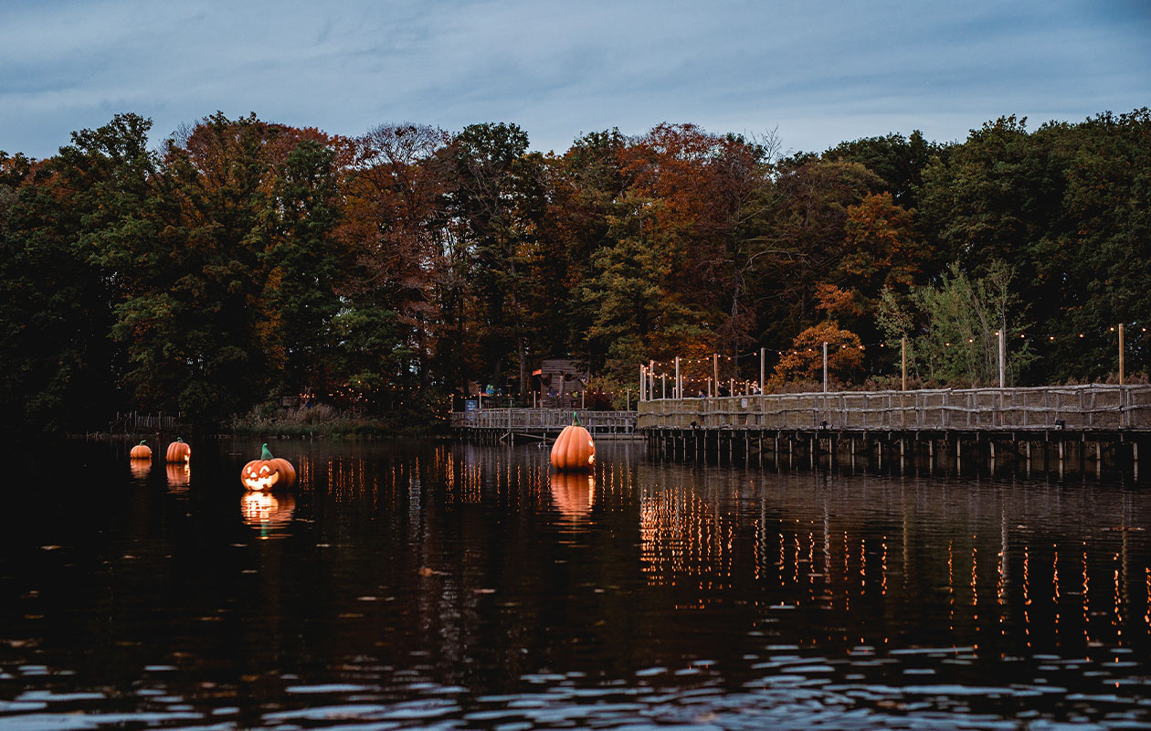 Ticket Bellewaerde Park Halloween (2p.)