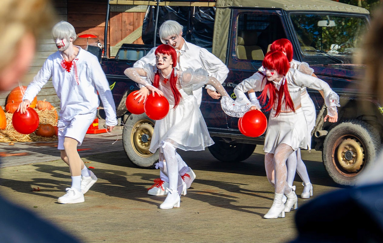 Billet Bellewaerde Park Halloween (2p.)