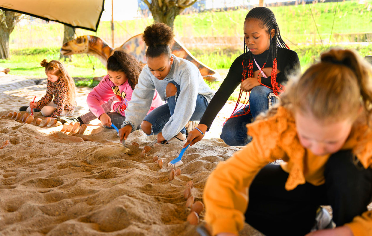 Ticket Dino Experience Park (2p.)