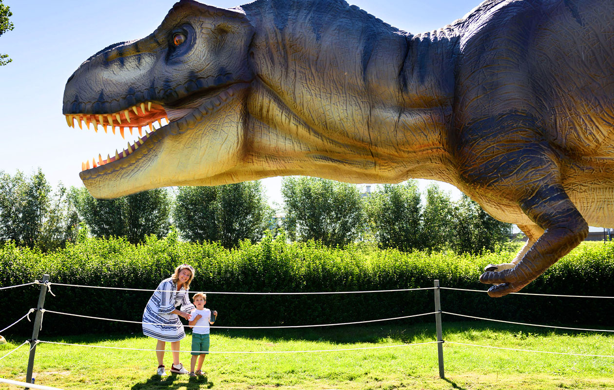 Ticket Dino Experience Park (2p.)