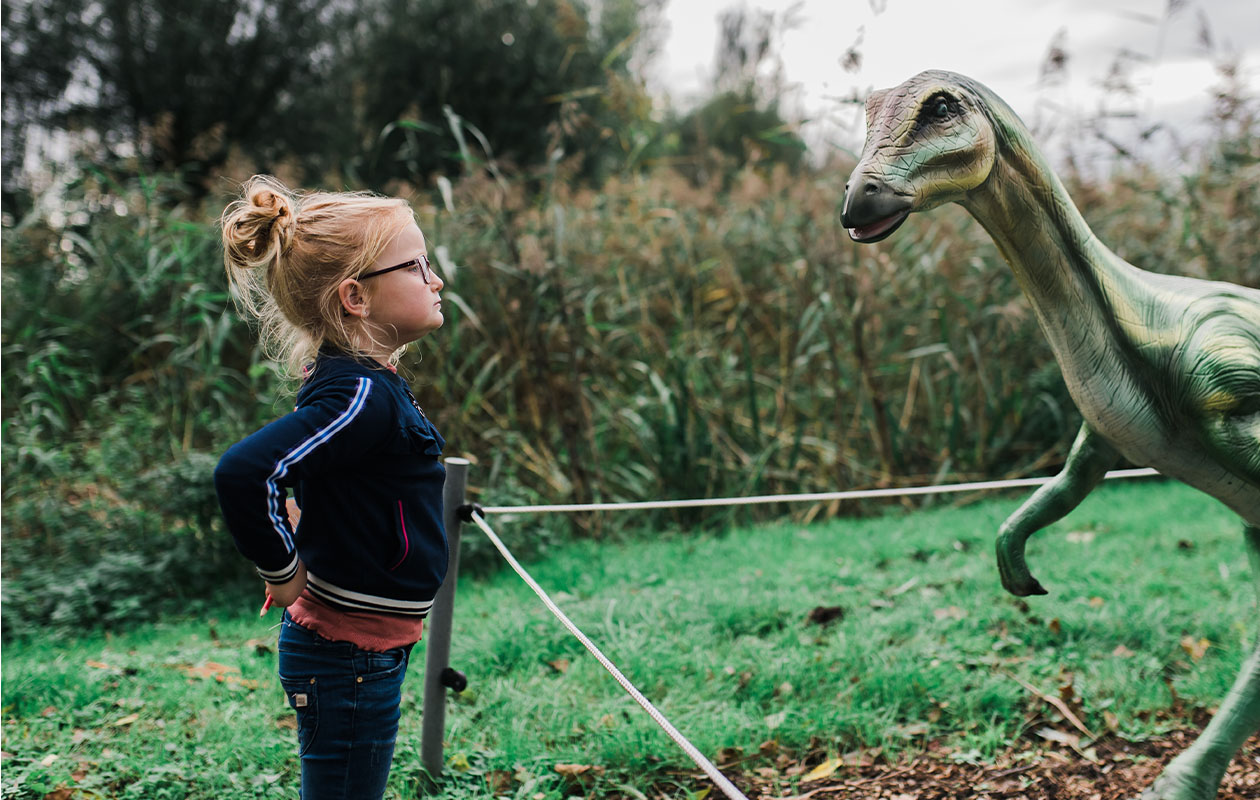 Ticket Dino Experience Park (2p.)