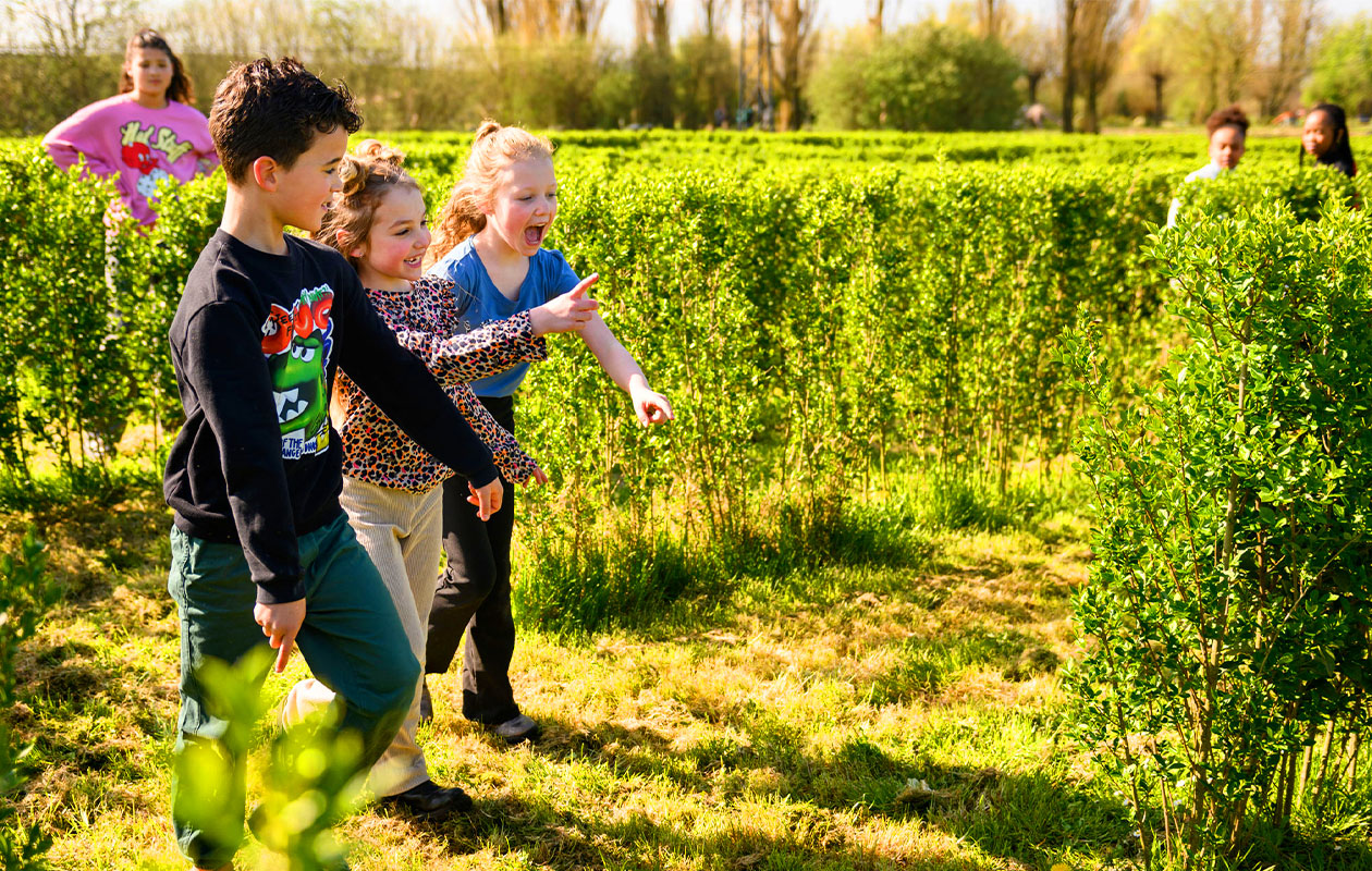 Ticket Dino Experience Park (2p.)