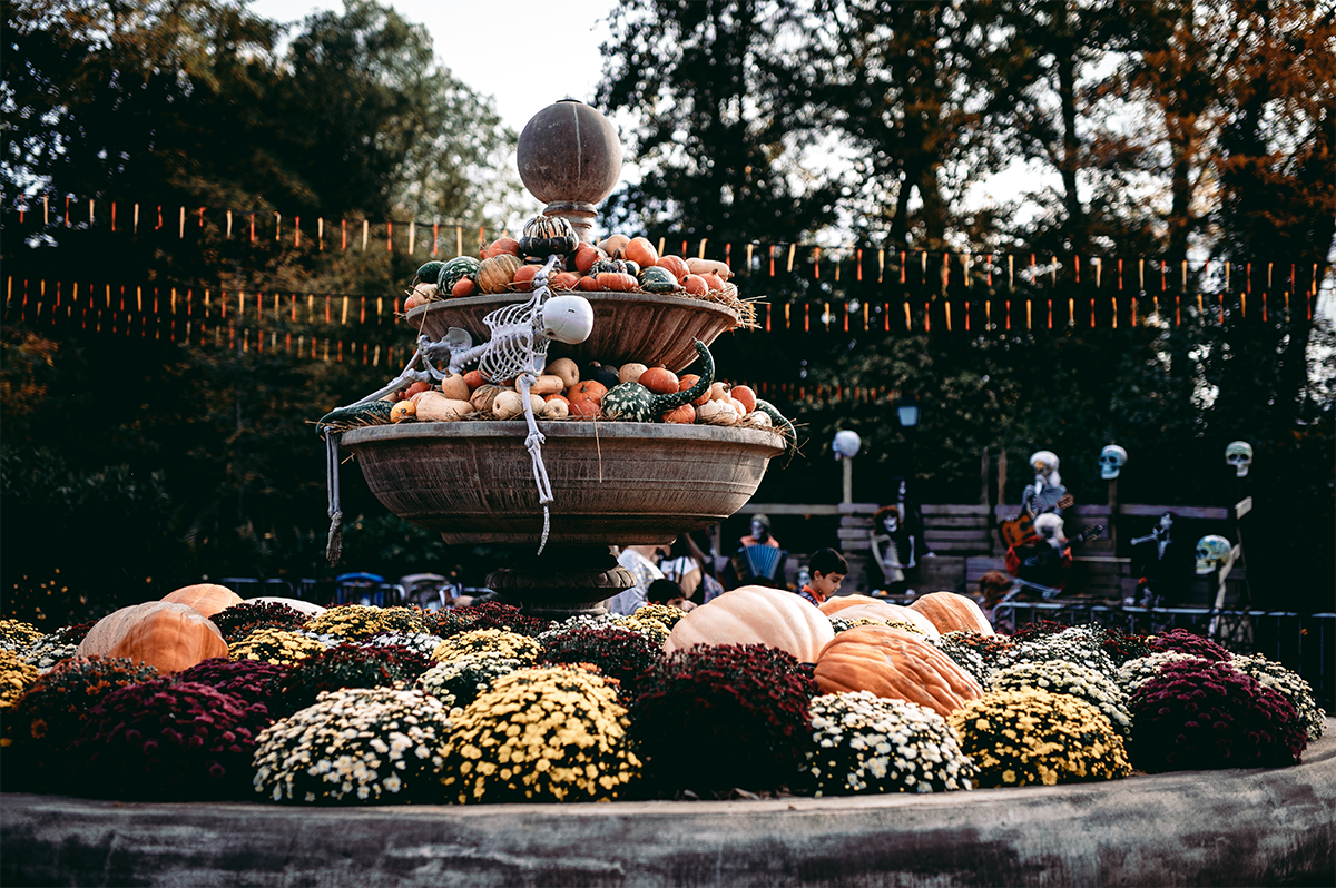 Ticket Bellewaerde Park Halloween (2 pers.)