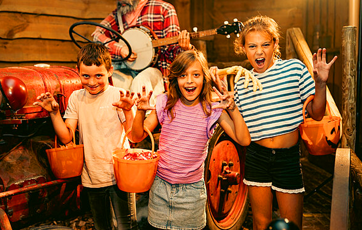 Ticket Familiepark Drievliet (2p.)