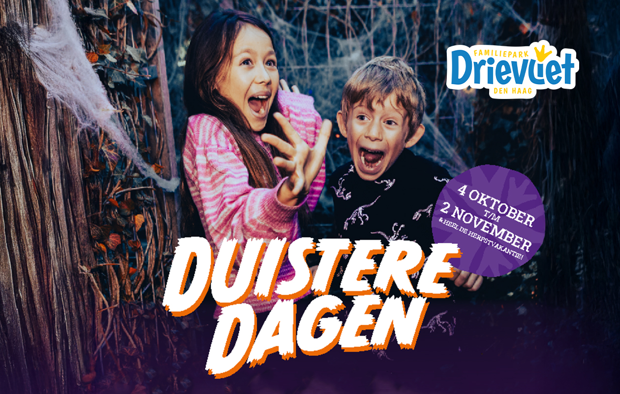 Ticket Familiepark Drievliet (2p.)