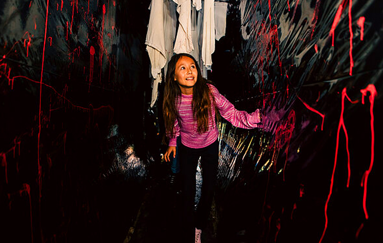 Ticket Familiepark Drievliet (2p.)