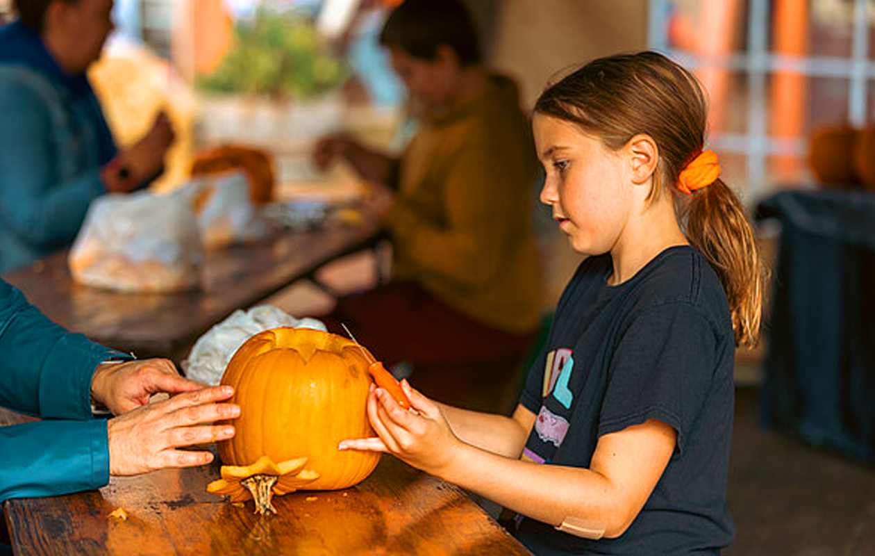 Ticket Familiepark Drievliet (2p.)