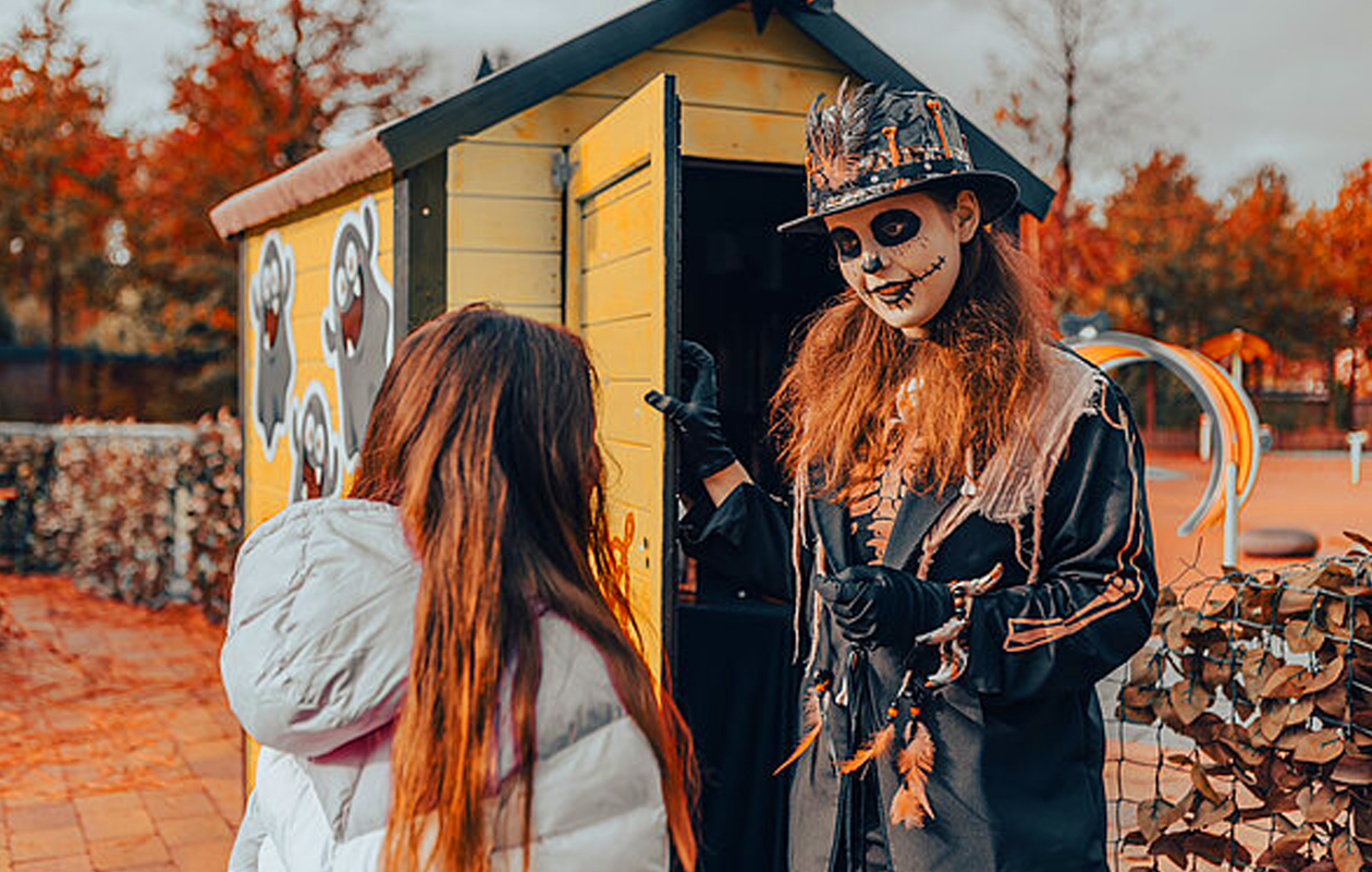 Ticket Familiepark Drievliet (2p.)