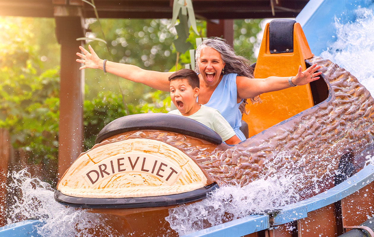Ticket Familiepark Drievliet (2p.)