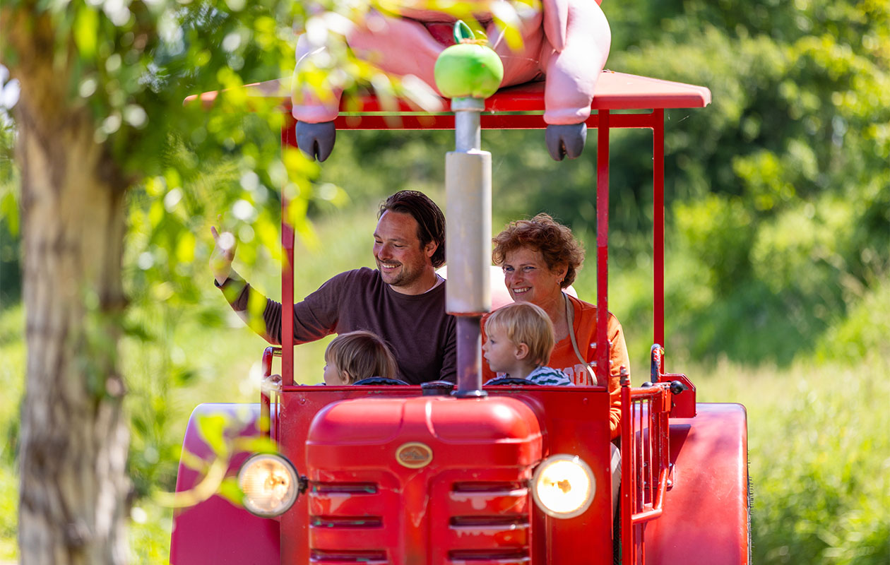 Ticket Familiepark Drievliet (2p.)