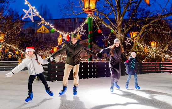 Ticket Parc Astérix (2p.)
