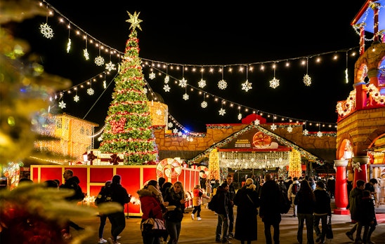 Ticket Walibi Belgium Winter (2p.)