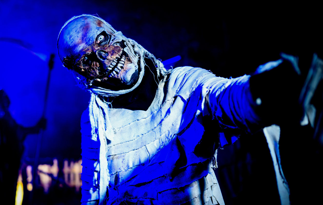Ticket Halloween Fright Nights Walibi Holland (2p.)