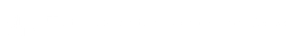 Ticket Zomerspektakel Utrecht (2p.)