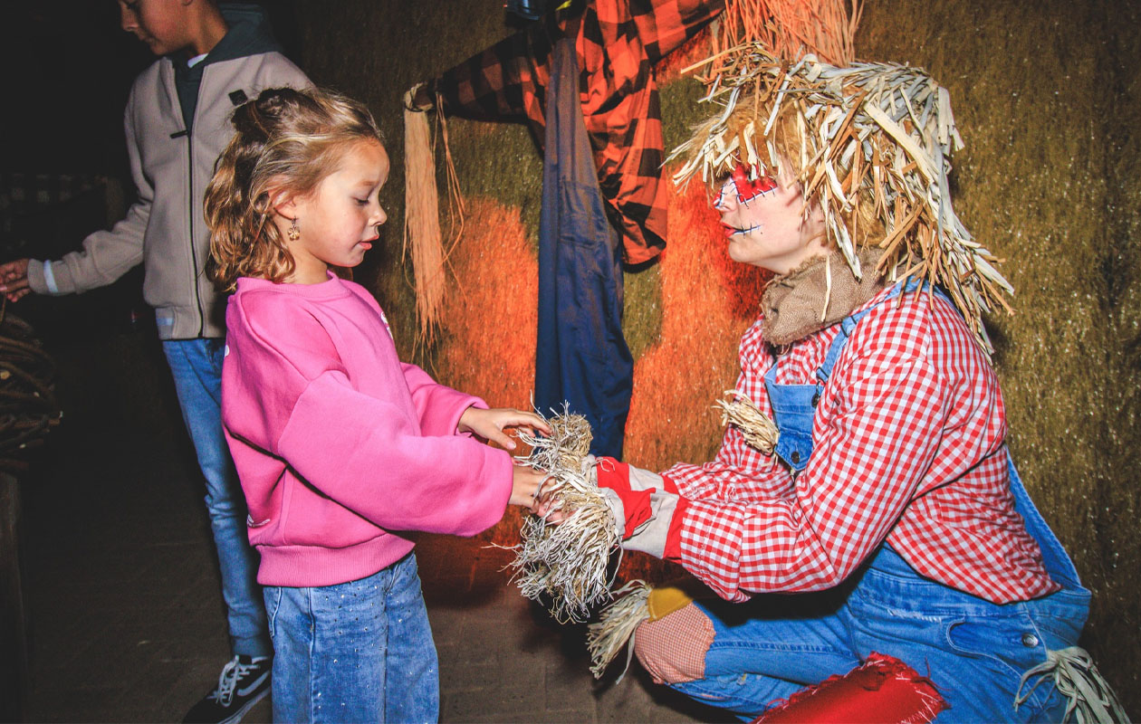 Ticket Attractiepark Slagharen (2p.)