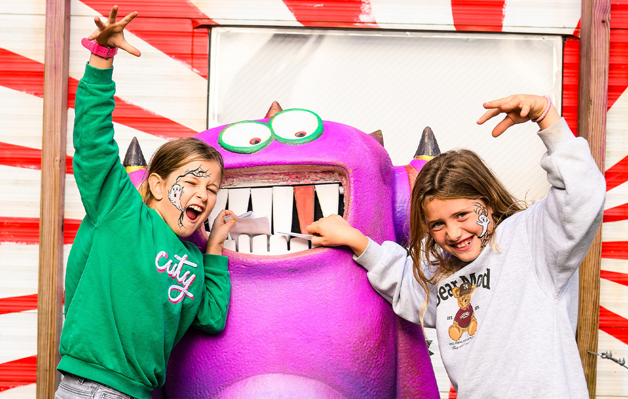 Billets Walibi Holland (2 personnes)