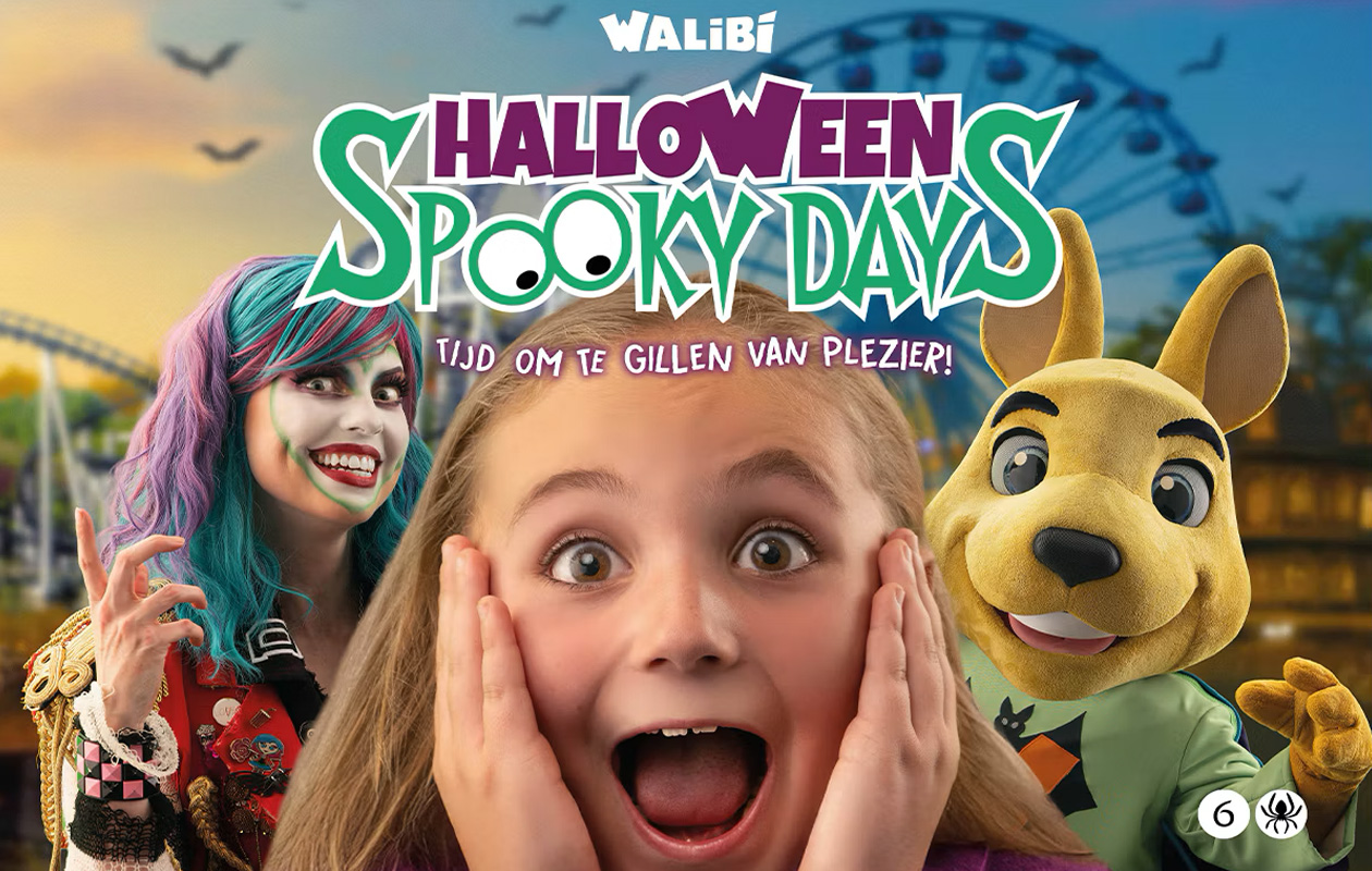 Billets Walibi Holland (2 personnes)