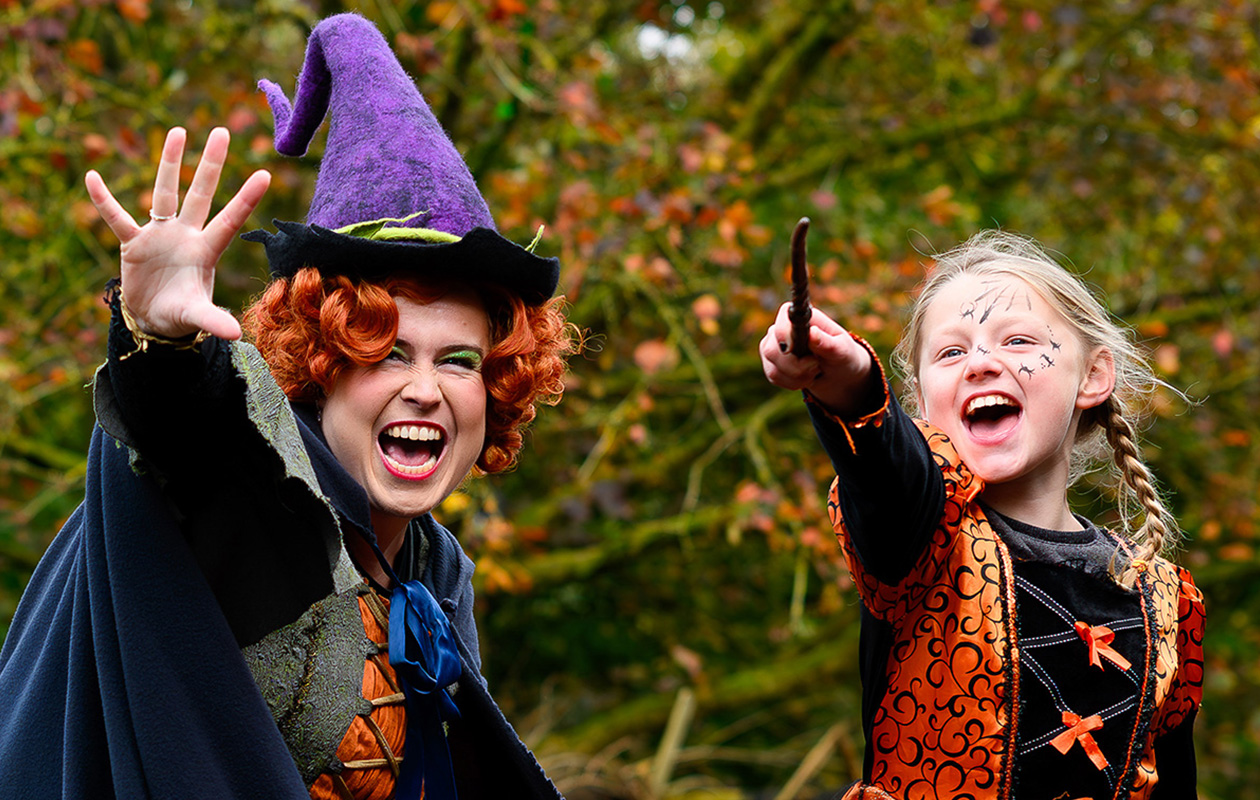 Billets Walibi Holland (2 personnes)