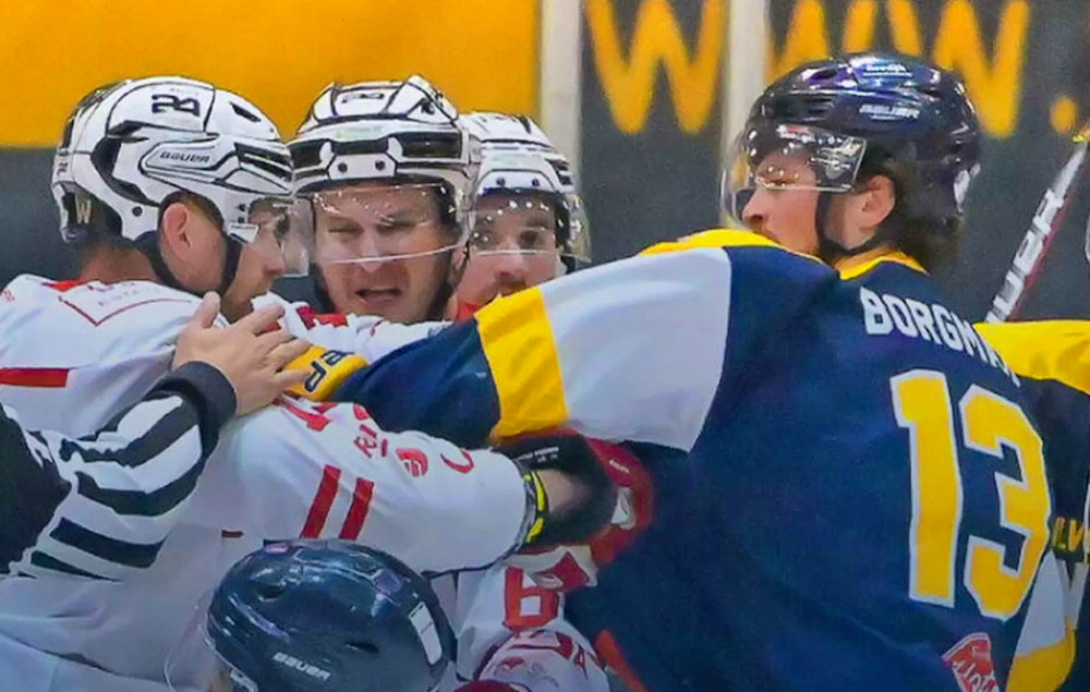 Ticket voor een ijshockeywedstrijd van Zoetermeer Panters (2p.)