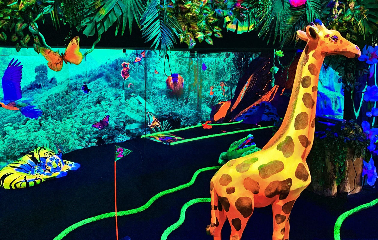 Glow in the Dark Midgetgolf bij Coronel (2p.)