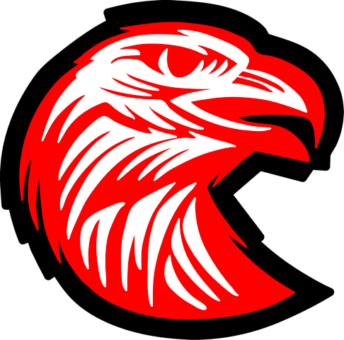 Ticket voor een ijshockeywedstrijd van Red Eagles (4p.)
